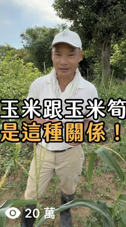 農場 短影音,觀看 20萬